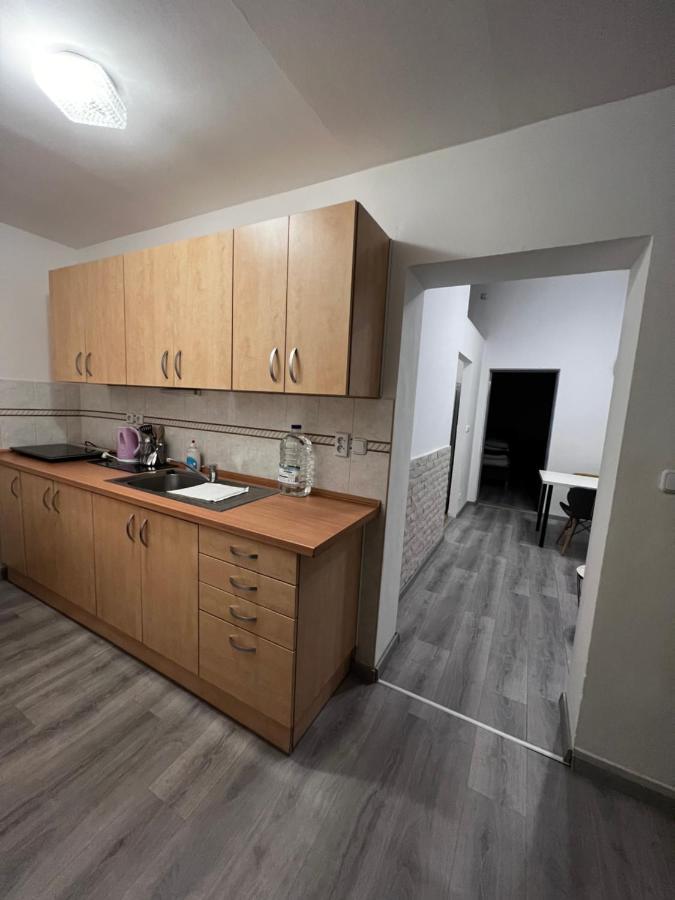 Mlynsky Ostrov Apartment 2 Zdice Esterno foto